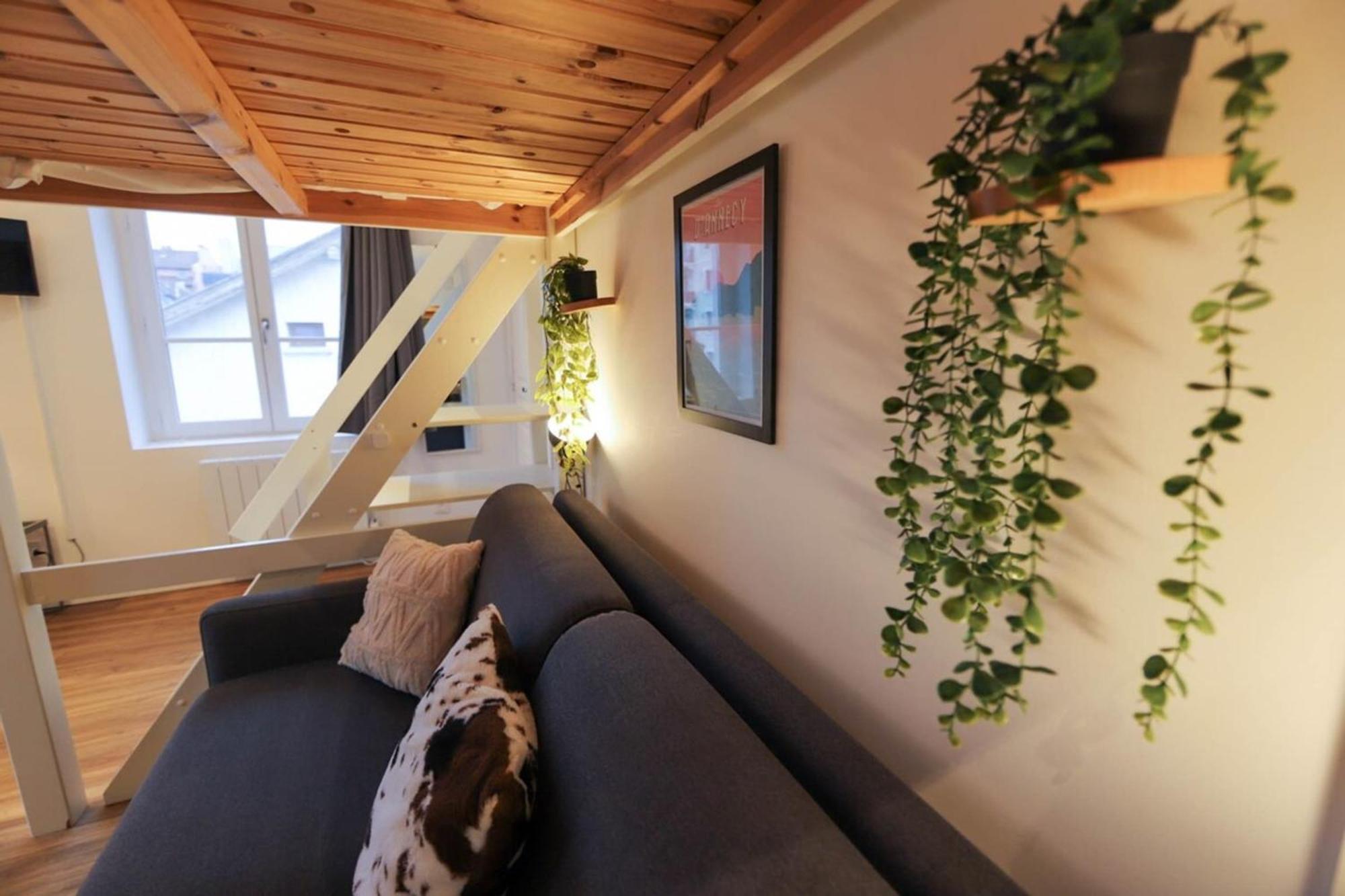 Le Petit Plus - Studio Confortable Avec Parking Apartment Annecy Bagian luar foto